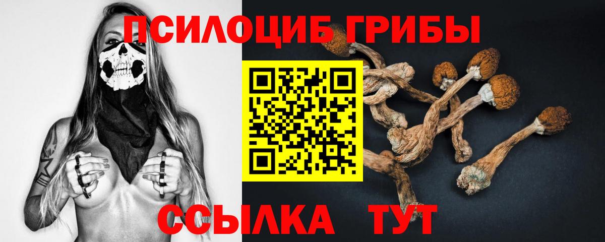 Галлюциногенные грибы Magic Shrooms  Вход с VPN  Асино 