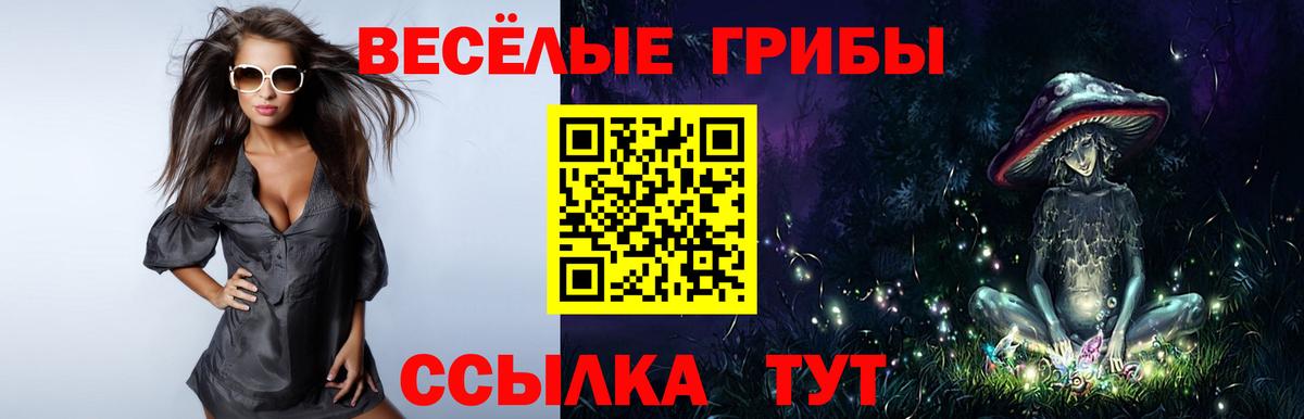 Галлюциногенные грибы Psilocybine cubensis Асино